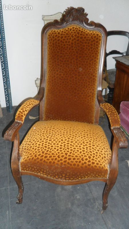 Voltaire ancien (image 1)