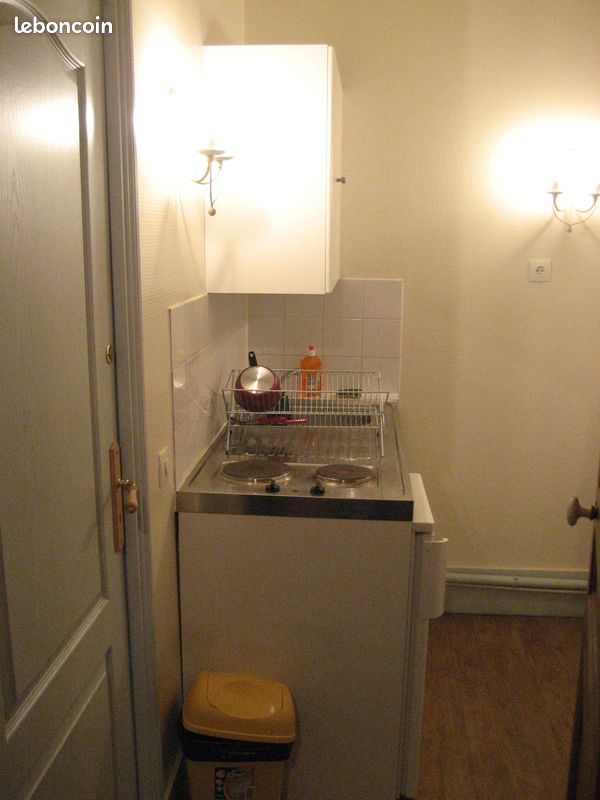 Location studio meublé Ecully (image 3)