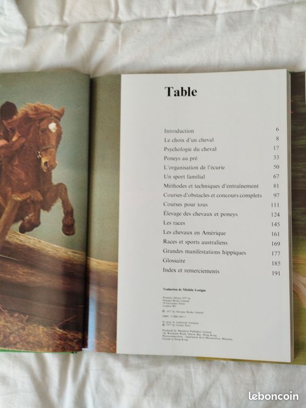 Le monde fascinant des chevaux (image 7)