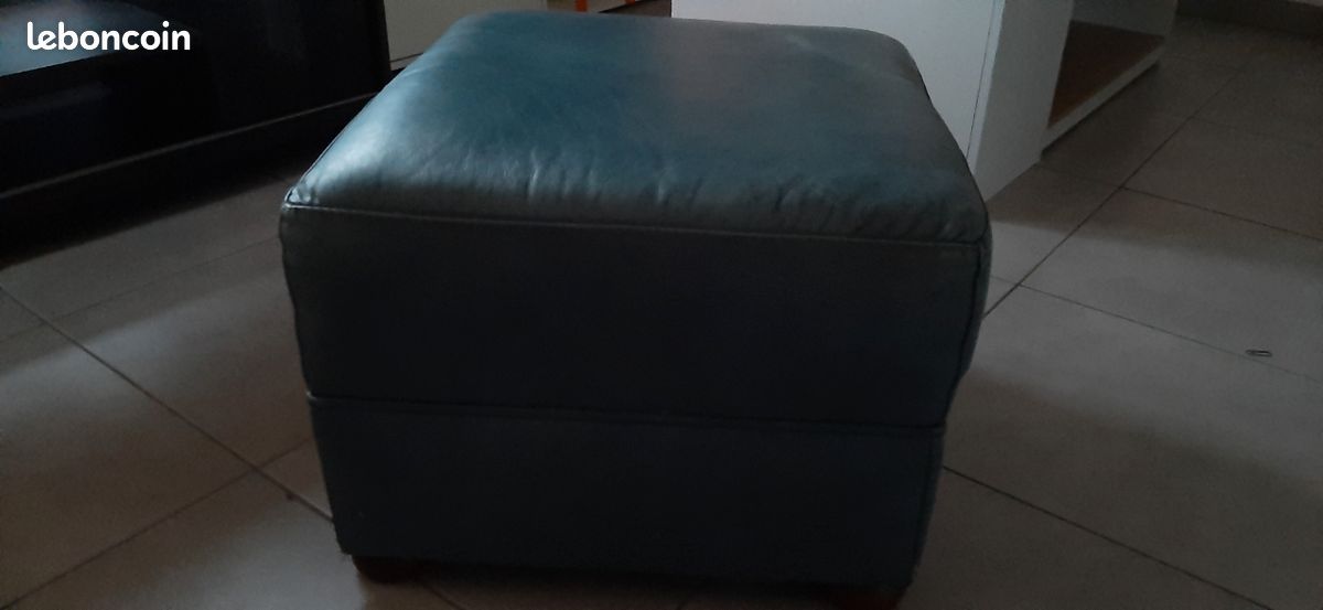Pouf en cuir (image 2)