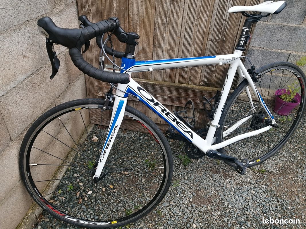 Arrivals Orbea Orbea Aqua Road Bike Orbea Aqua For Sale Store