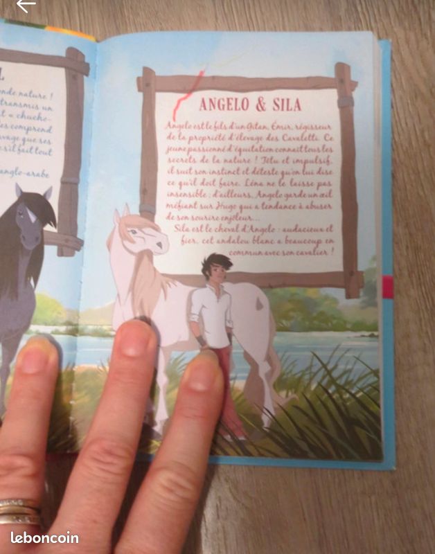 Lot 10premiers tomes Le Ranch (image 5)