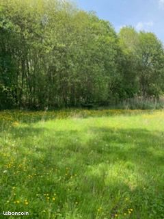 Terrain a jardin