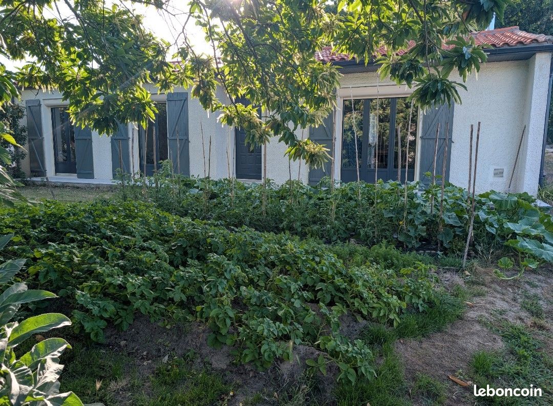 Location maison non meublée ou meublée Les Mathes (image 3)