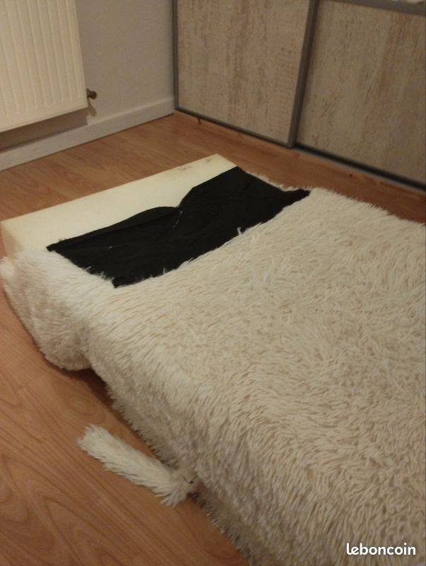 Pouf chauffeuse (image 3)