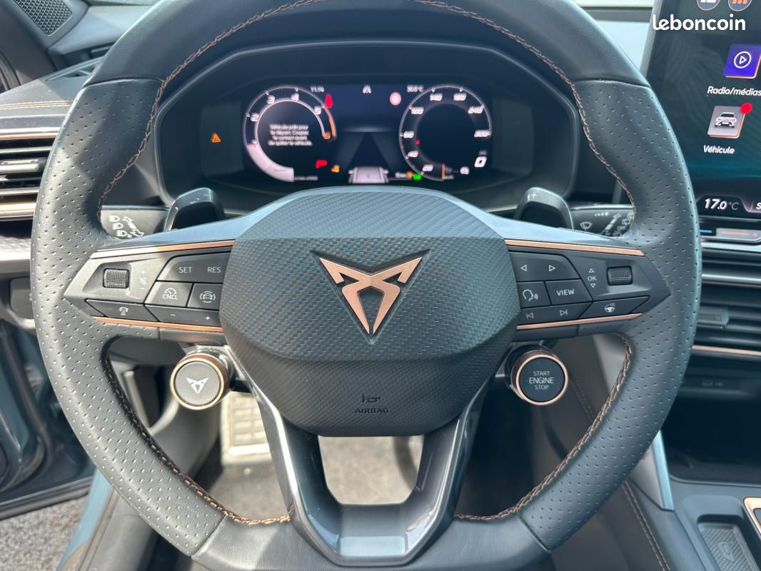 Cupra Formentor 2.0 TDI 150 ch DSG7 V (image 12)