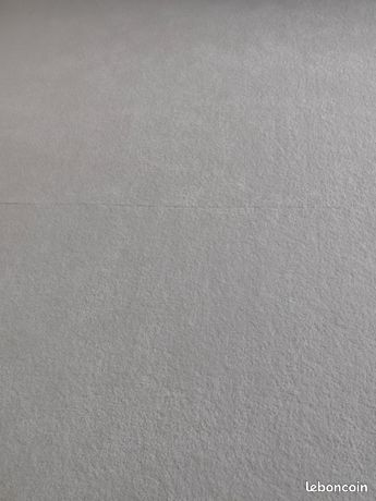 Moquette Occasion Gratuite