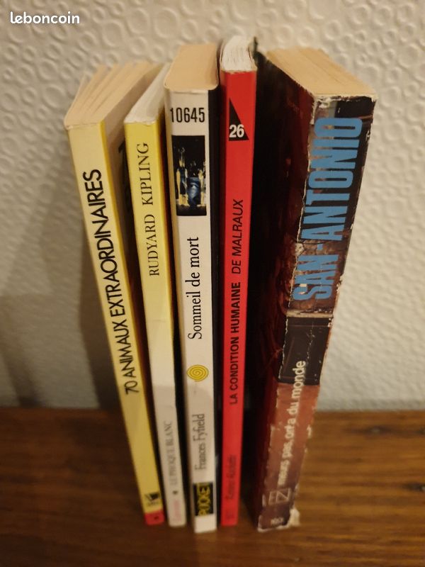 Livres jeunesse (image 3)