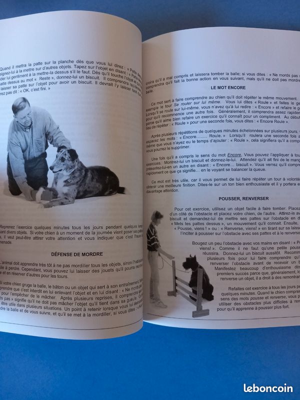 Entraîner ton chien facilement en seulement 15 minutes par jour " découvre la méthode positive tendresse tout en vous amusant " (image 12)