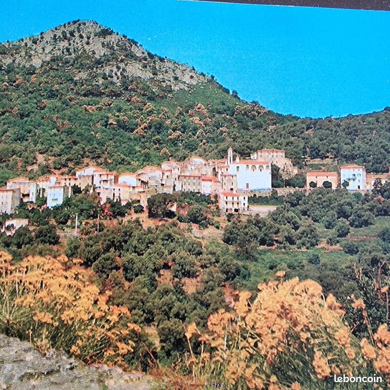 Maison de vacances entre CALVI ET L'ILE ROUSSE (image 10)