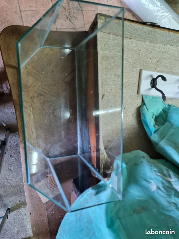 Aquarium en verre (image 2)