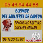 ELEVAGE DES SABLIERES DE CADEUIL