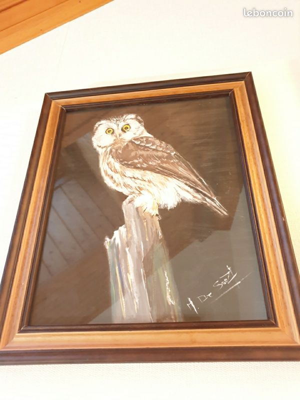 Tableau sur verre acrylique van Duijn - Chouette effraie dans la