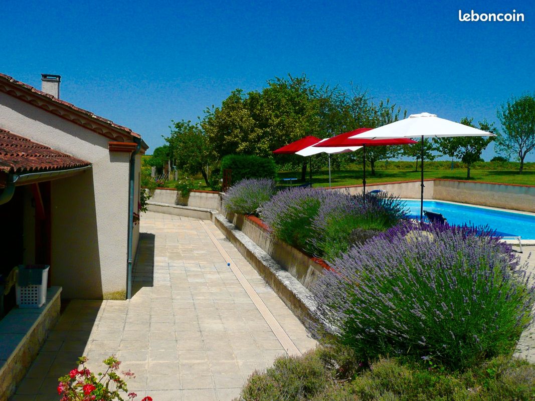Magnifique gîte avec grande piscine 12 personnes (image 3)