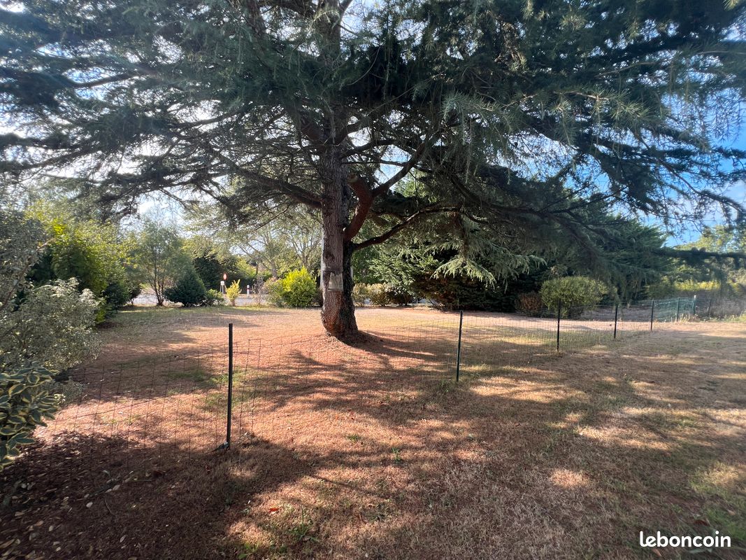 Terrain constructible 444m2 · à Cancale · 159 000 €
