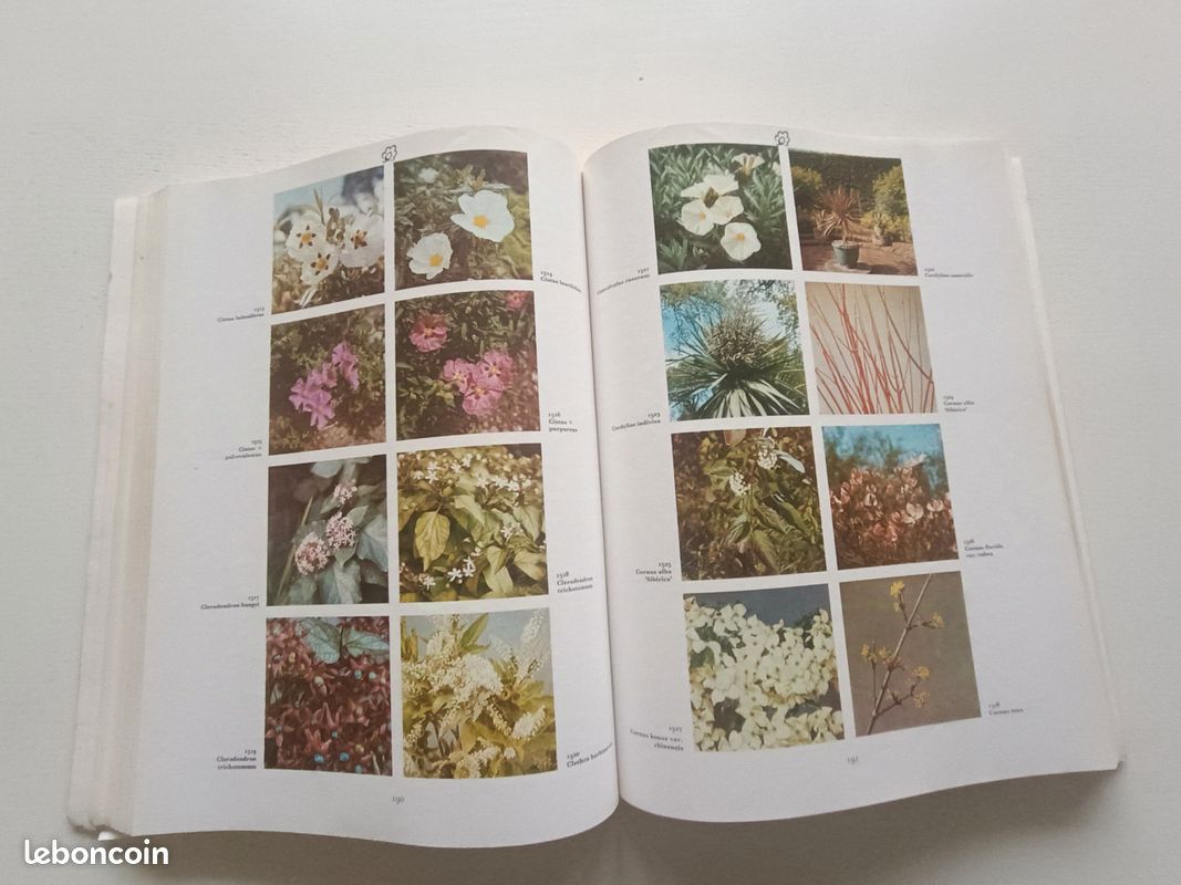 Livre. Garden Plants (image 2)