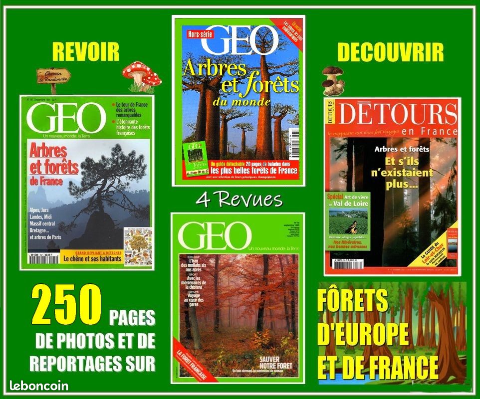 LA FORÊT - revues - FRANCE et MONDE (image 1)