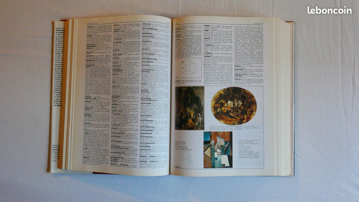 Dictionnaire des noms communs en couleurs (image 3)