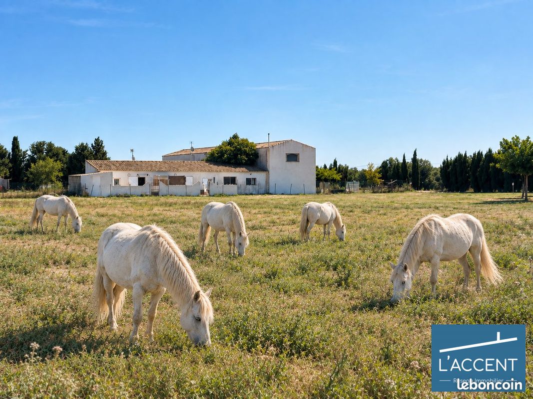 Maison 6 pièces 186 m² · à Le Cailar · 186 m² · 799 000 €