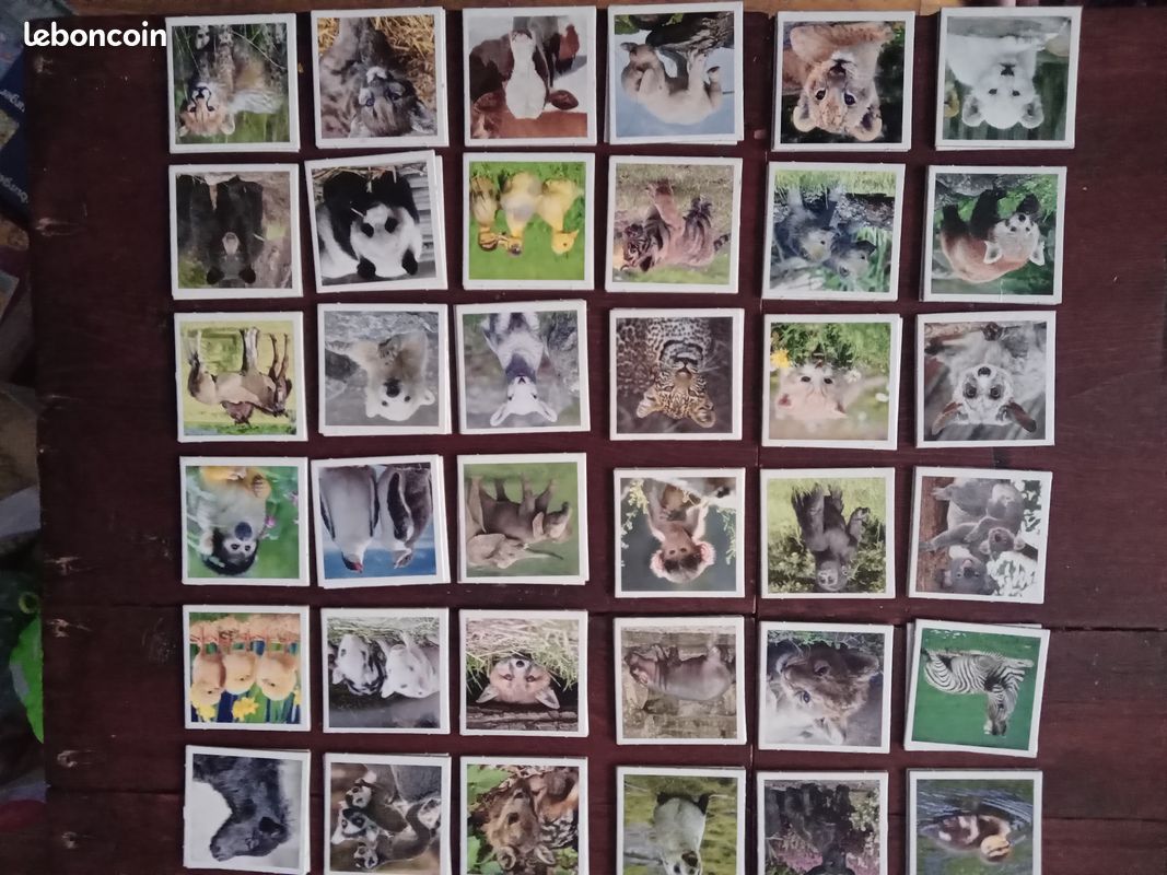 Memory bébés animaux (image 2)