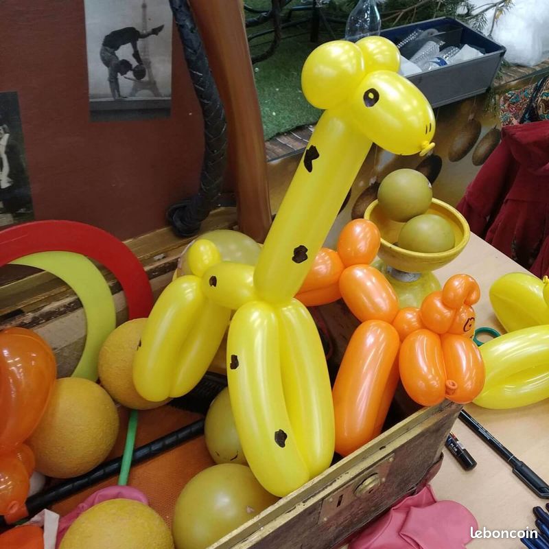 Jongleur et Sculpteur de Ballons (image 2)