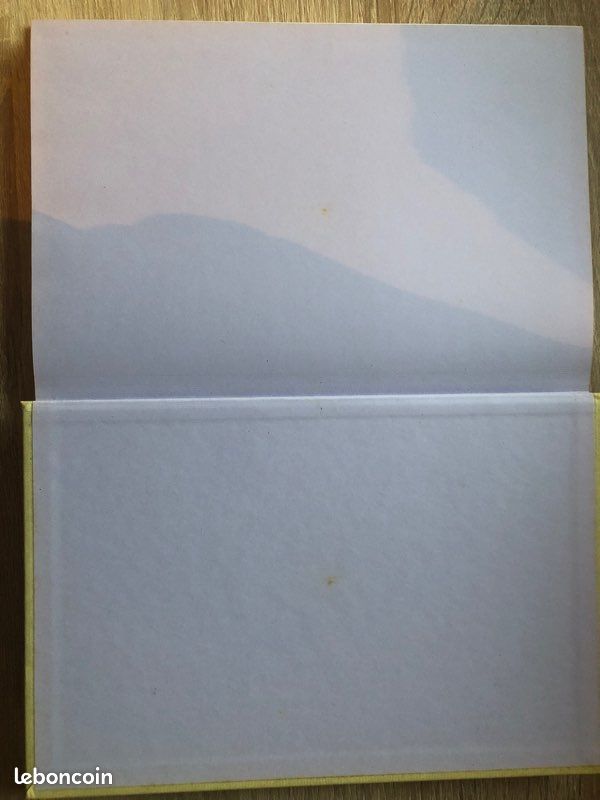 Gustave flaubert dictionnaire des idées reçues revisité (image 7)