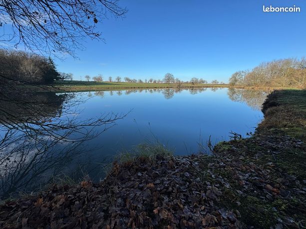 Etang et bois ARCHIGNAT