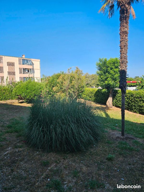Appartement 3 pièces 73 m² · à Six-Fours-les-Plages · 73 m² · 1 135 €/mois