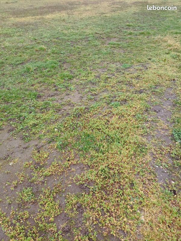 Terrains à bâtir Auxonne 21 · 50 000 €