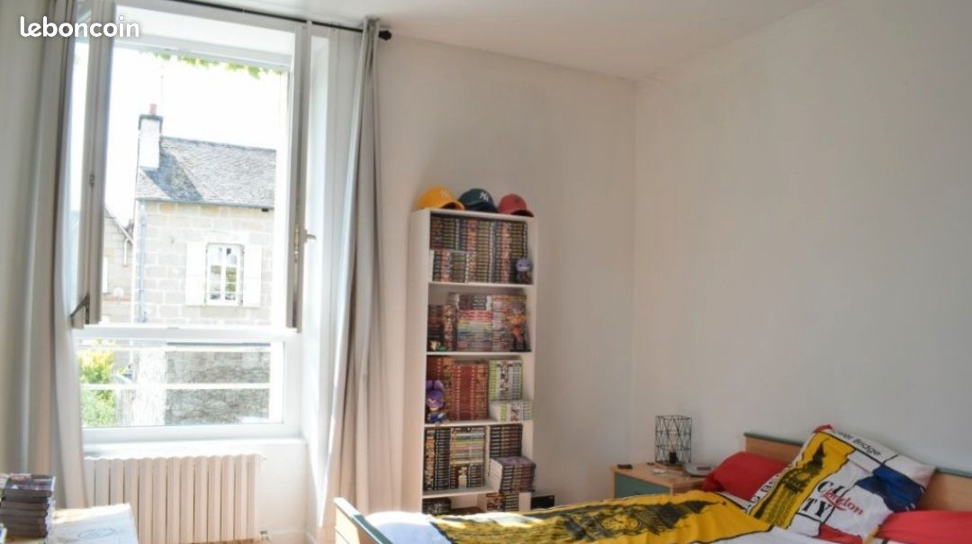 Grand appartement T2 proche centre ville - Brive-la-Gaillarde 19100 (image 2)