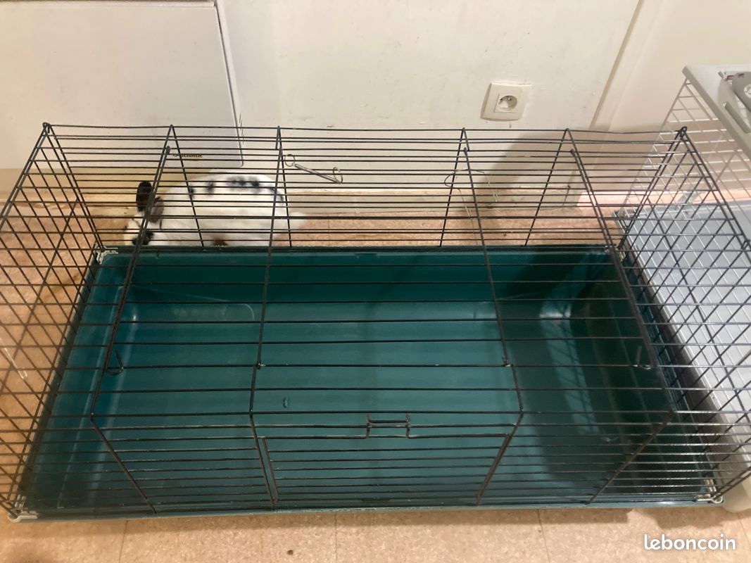 Cage cochon d’Inde (image 1)