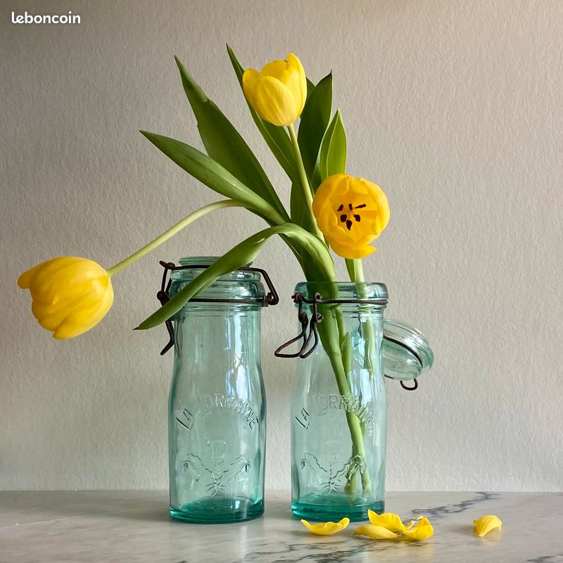 Ancien Bocal La Lorraine – Verre Fumé Vert – Emblème Chardon – 1L – Vintage