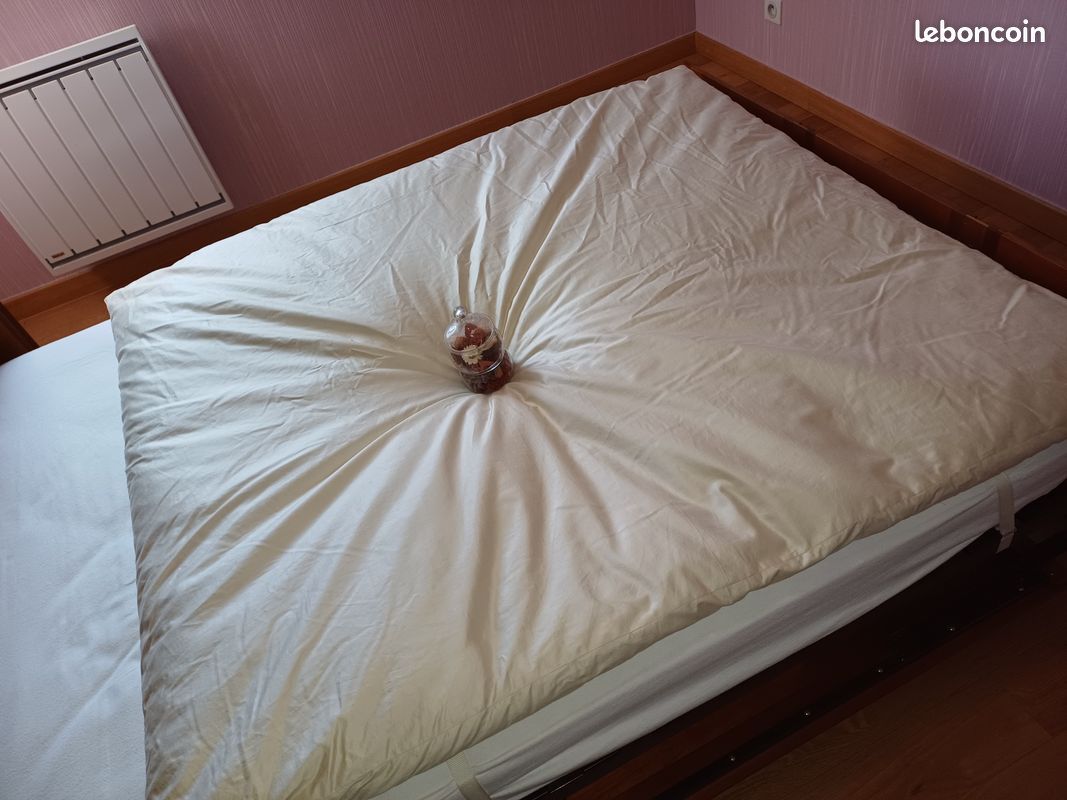 Edredon avec duvet/plumettes (image 1)