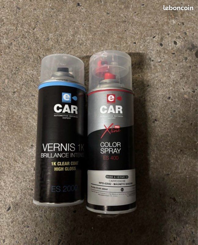 Peinture jantes tesla aéro 18p (image 1)