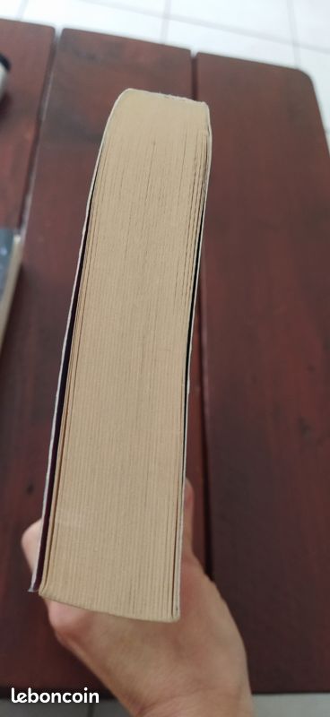 Livre stranger things (image 5)