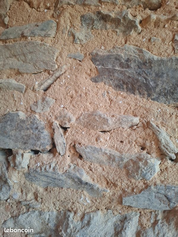 Terre Argile jaune (image 6)