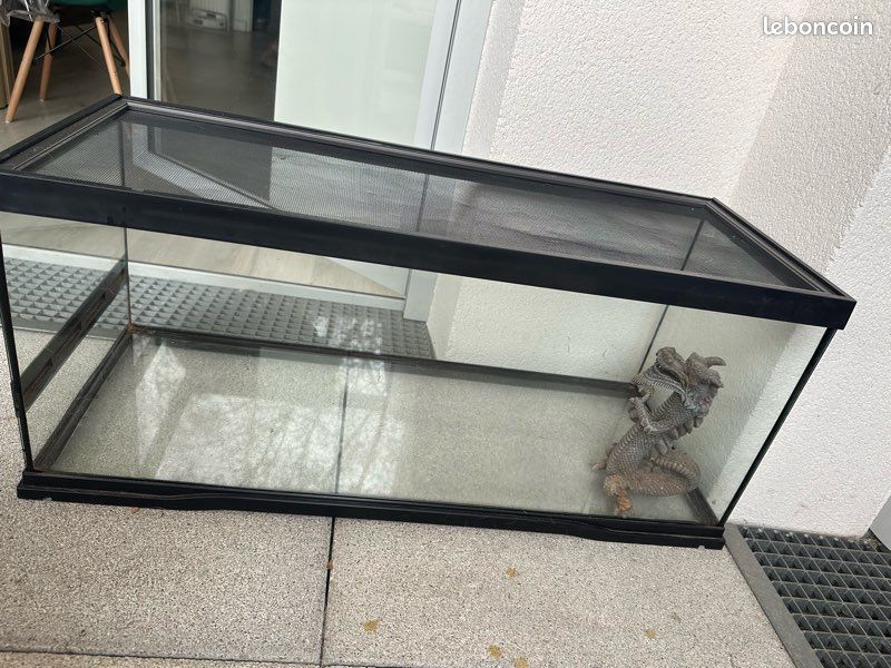 Terrarium en bon état – idéal serpent / lézard / NAC (image 1)