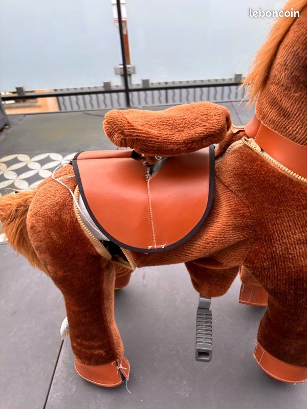 Ponycycle (image 3)