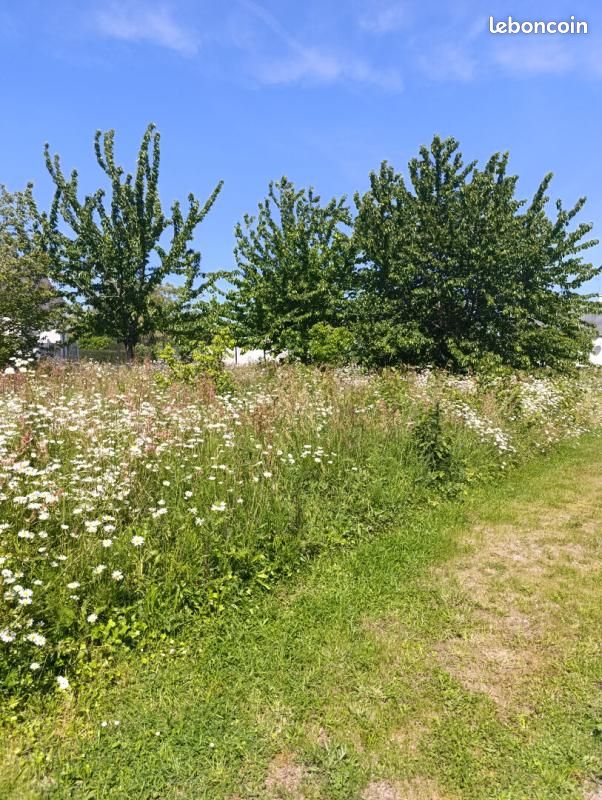 Terrain 829 m² Pleneuf Val Andre · à Pléneuf-Val-André · 365 000 €