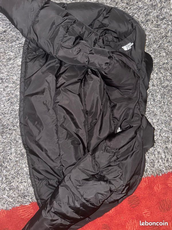Manteau the north face (image 3)