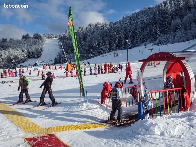 Location saisonnière de vacances Gérardmer (image 13)