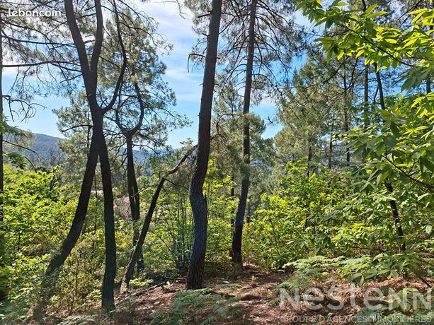 Terrain 24800 m² ST MARTIN DE BOUBAUX