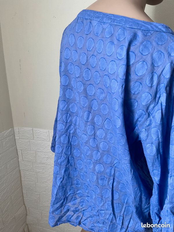 Plumetis bleu (image 2)