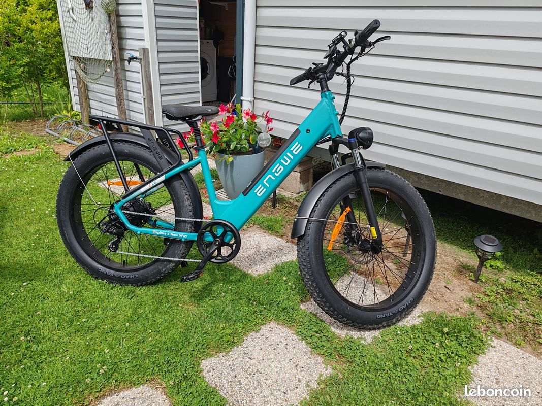 Vélo électrique homme (image 1)