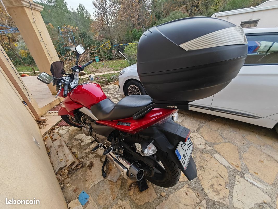 Suzuki Inazuma 250 (image 2)