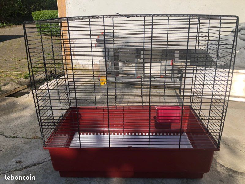 Cage à oiseaux (image 2)