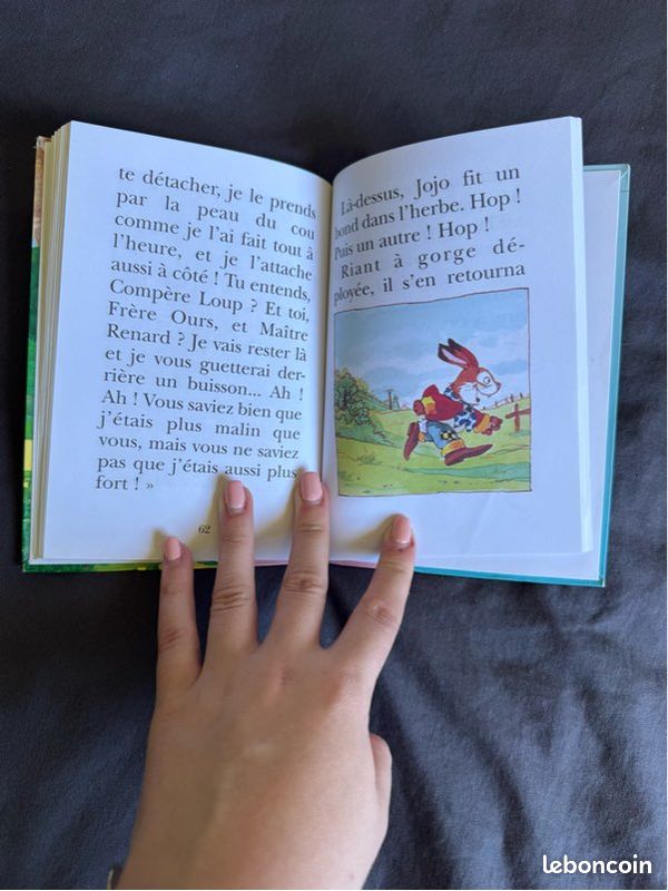 Livre Jojo Lapin (image 4)