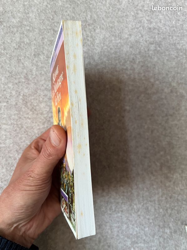 Livre dont vous êtes le héros: Retour à la Montagne de Feu (image 4)