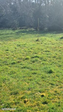 Terrain 550 m² Saint Jean De Braye