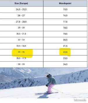 Chaussures de ski pointure 35 Sport Plein air
